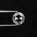 MO481-1.jpg