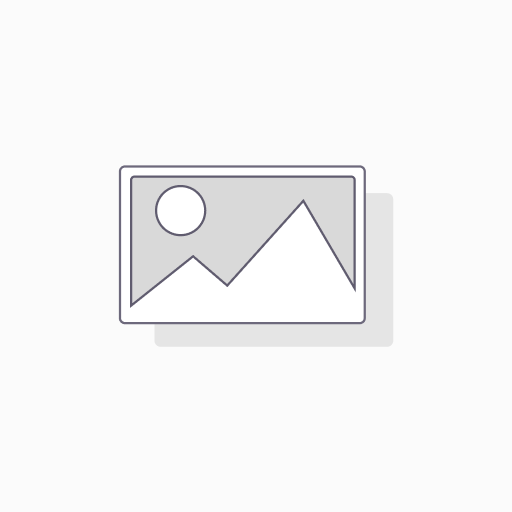 Loose Moissanite Deep Brown Clean Heart Cut 5.50 MM